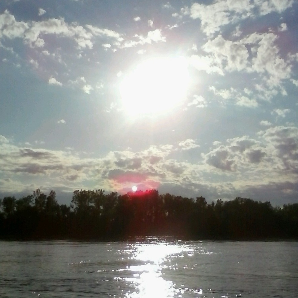 Meet your Posher, Rhiannon